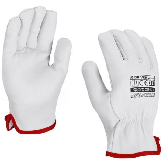 RĘKAWICE CAŁOSKORZANE OCIEPLANE X-DRIVER WINTER