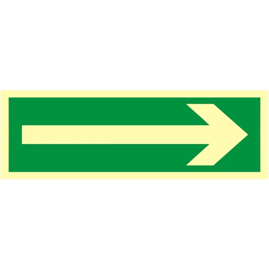 ZNAK EWAKUACYJNY-KIERUNEK DROGI EWAKUACYJNEJ-AA 008 BH PS