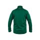 BLUZA CXS TORONTO MĘSKA - ZIELONY