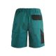 SPODENKI KRÓTKIE CXS LUXY TOMAS MĘSKIE - ZIELONO-CZARNY