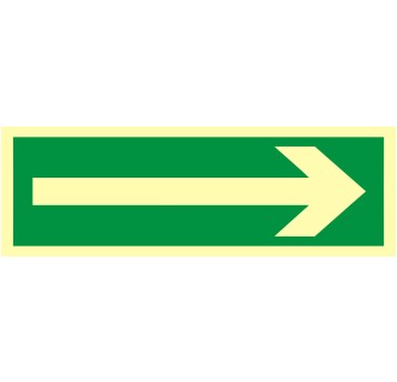 ZNAK EWAKUACYJNY - KIERUNEK DROGI EWAKUACYJNEJ - AA 008 BH PS