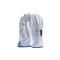 10-XL SPE